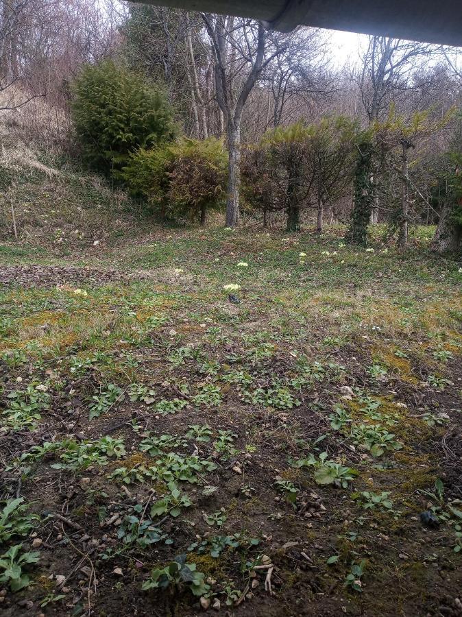 Holiday Home Nature Plesivica Jastrebarsko Exterior photo