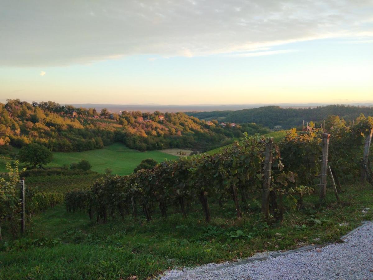 Holiday Home Nature Plesivica Jastrebarsko Exterior photo